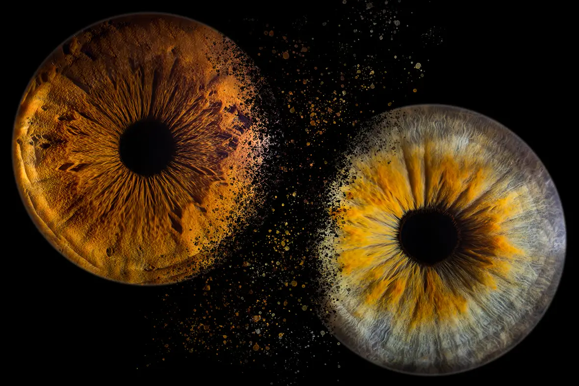 Iris Nancy Metz Pont a Mousson2