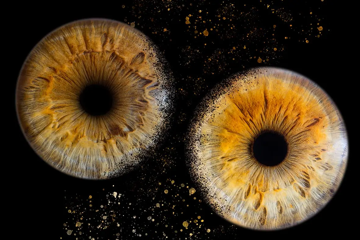 Iris Nancy Metz Pont a Mousson6 1